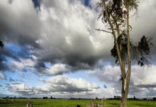 上海男篮实现逆袭，绝境逢生，铸就辉煌！