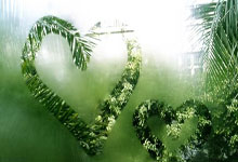 勇士主场摧枯拉朽，金州狂潮席卷丹佛，西部格局重塑在即！