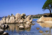 诺坎普的狂欢：巴萨浴血奋战，4-0横扫纽卡，欧冠四强梦圆！